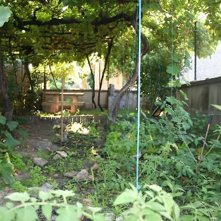 Casa de Férias Casinha Da Horta Com Jacuzzi