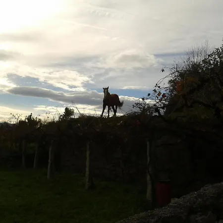 Casa de Férias Casinha Da Horta