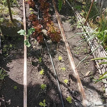 Casinha Da Horta Сasa de vacaciones