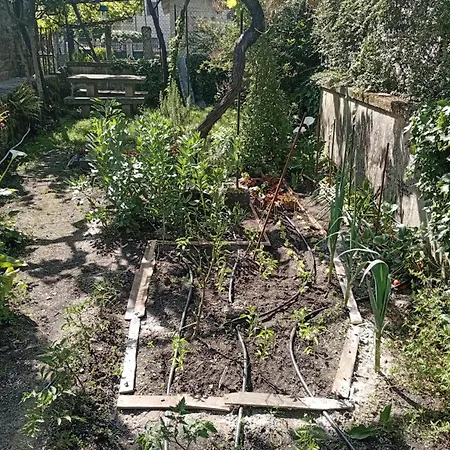 Casinha Da Horta Casa de Férias *