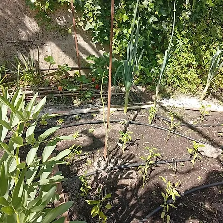 Сasa de vacaciones Casinha Da Horta *