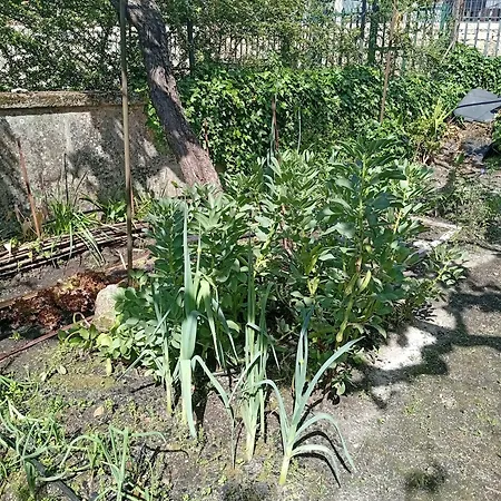 Casinha Da Horta Casa de Férias