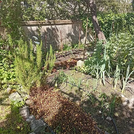 Casinha Da Horta Com Jacuzzi Casa de Férias Soajo