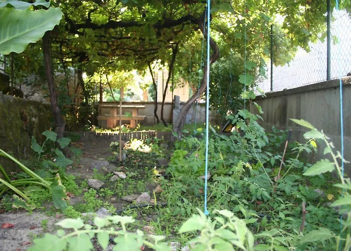 Hébergement de vacances Casinha Da Horta