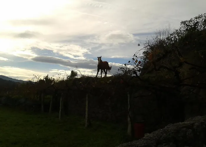Hébergement de vacances Casinha Da Horta