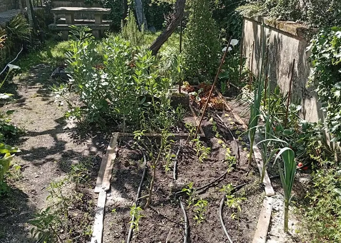 Casinha Da Horta Hébergement de vacances *