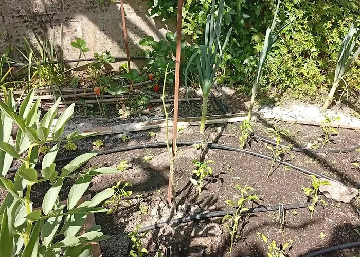 펜션 Casinha Da Horta *