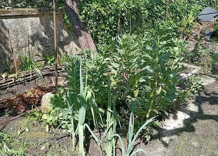 Casinha Da Horta Com Jacuzzi بيت للعطل