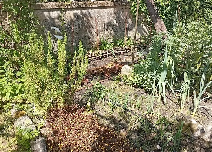 Casinha Da Horta Com Jacuzzi بيت للعطل سواجو